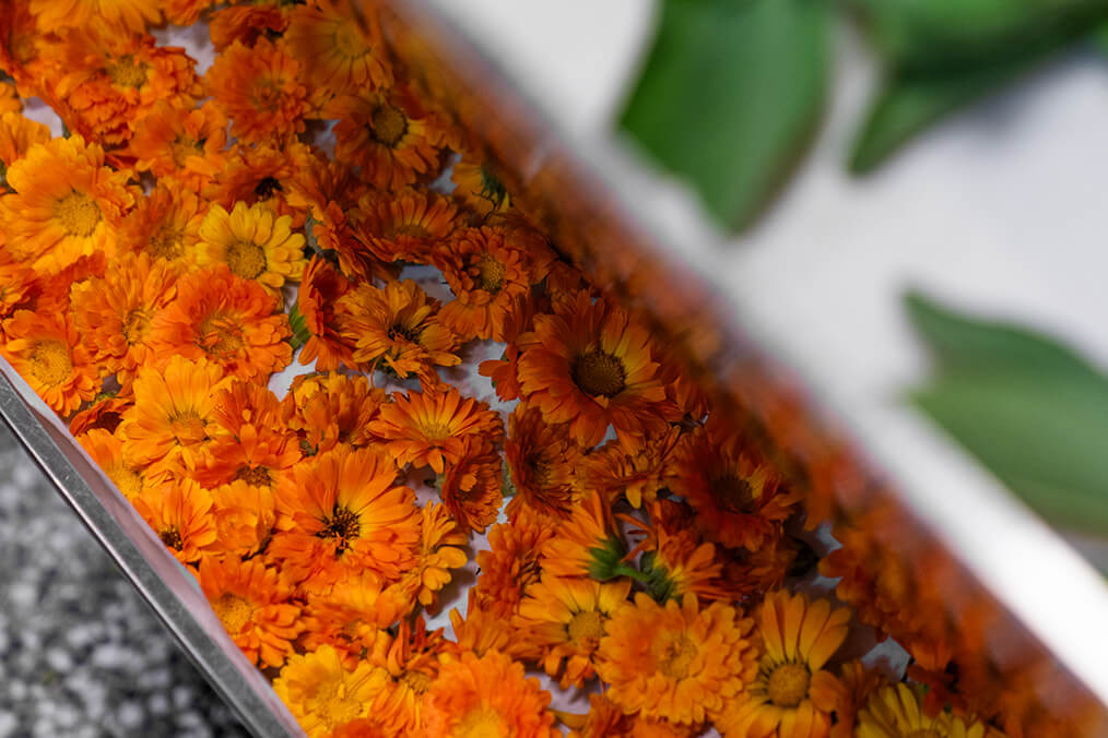 Dobrote_Dolensjke_kulinaricno_dozivetje_10